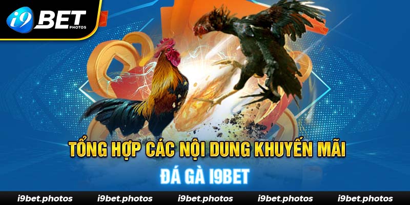 Ưu đãi đá gà I9BET cực khủng